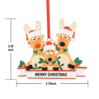 Custom Name Reindeer Family Xmas Ornament Personalized Christmas Decoration Gifts