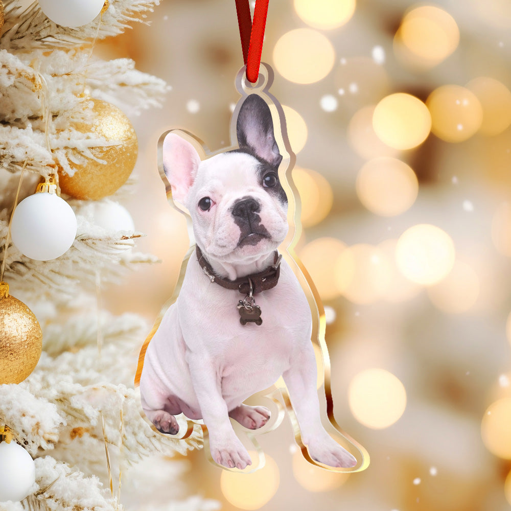 Custom Pet Photo Acrylic Shaped Ornament Christmas GIft for Pet Lover