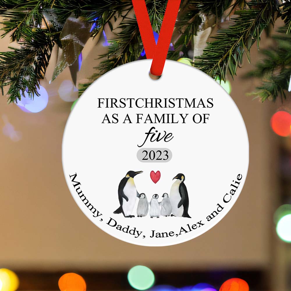 First Christmas Family Custom Name Ornament 2023 Christmas Gift
