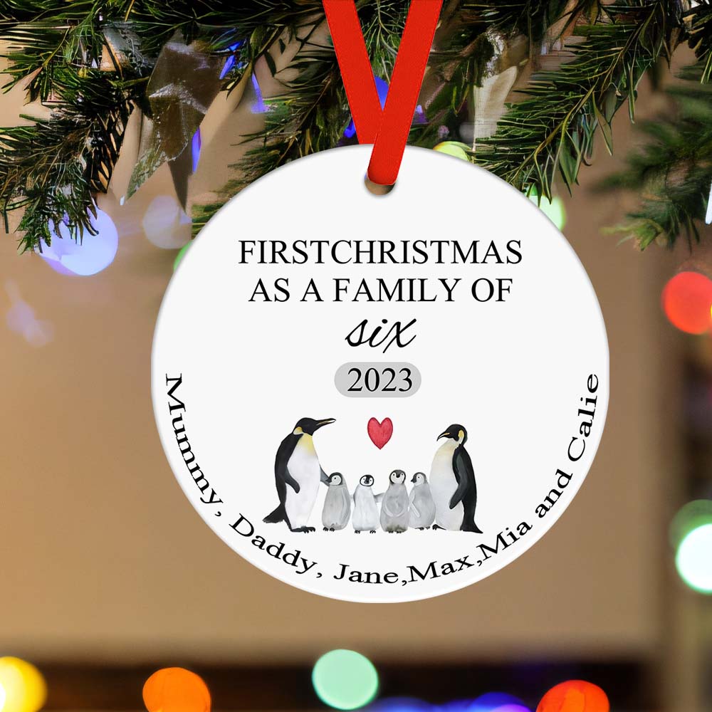First Christmas Family Custom Name Ornament 2023 Christmas Gift