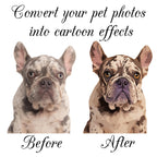 Custom Pet Photo Socks, Personalized Pet Socks, Custom Dog Socks, Mothers Day Gifts, Cat/Dog Dad Gifts, Dog Face Socks, Pet Lovers Gift